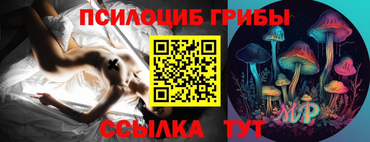 Галлюциногенные грибы мицелий  Псилоцибиновые грибы Psilocybine cubensis  Барабинск  купить   Вход с VPN 