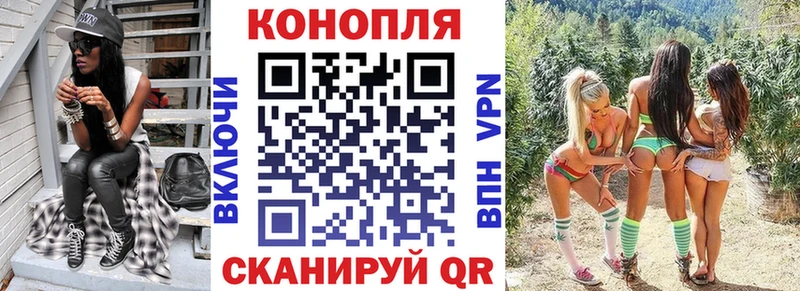 Бошки марихуана сатива  Барабинск 